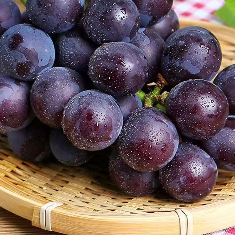 巨峰葡萄1kg