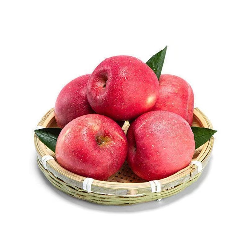 山东红富士苹果1kg